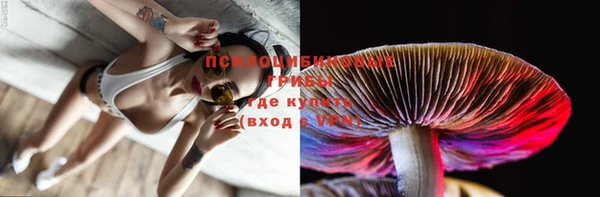 эйфоретик Киреевск