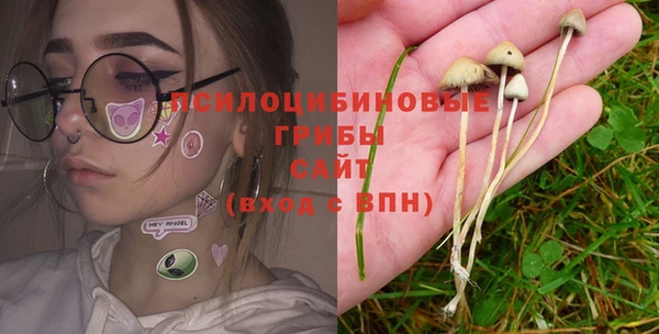 эйфоретик Киреевск
